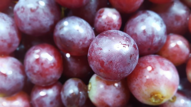 As uvas são ruins para os cães?