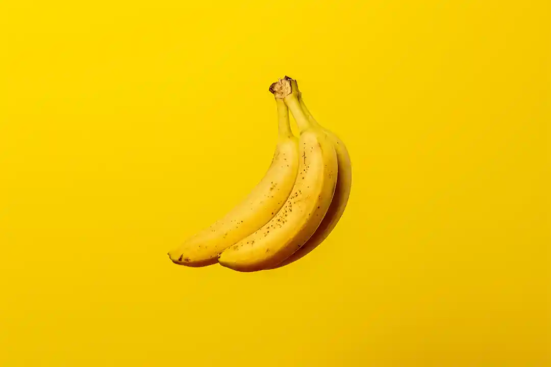 Cachorro pode comer Banana?