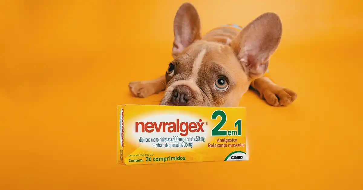 Cachorro pode tomar Nevralgex?