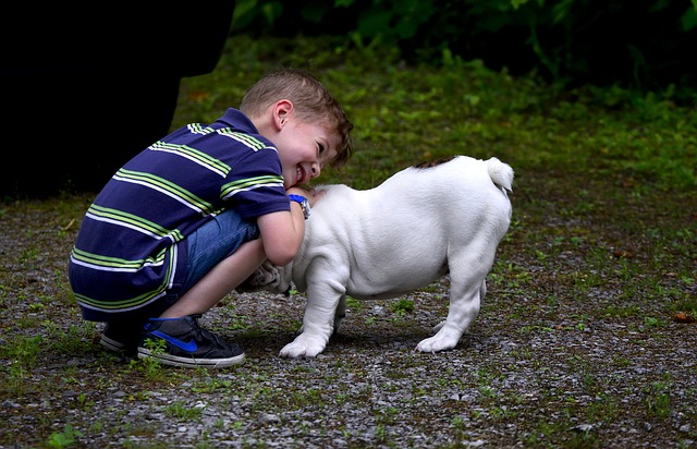 Cães e Crianças | Dicas para evitar problemas entre seu cão e criança