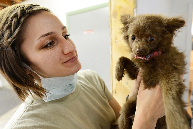 Cães e Medo do Veterinário | O que fazer se o seu cão tem medo do veterinário