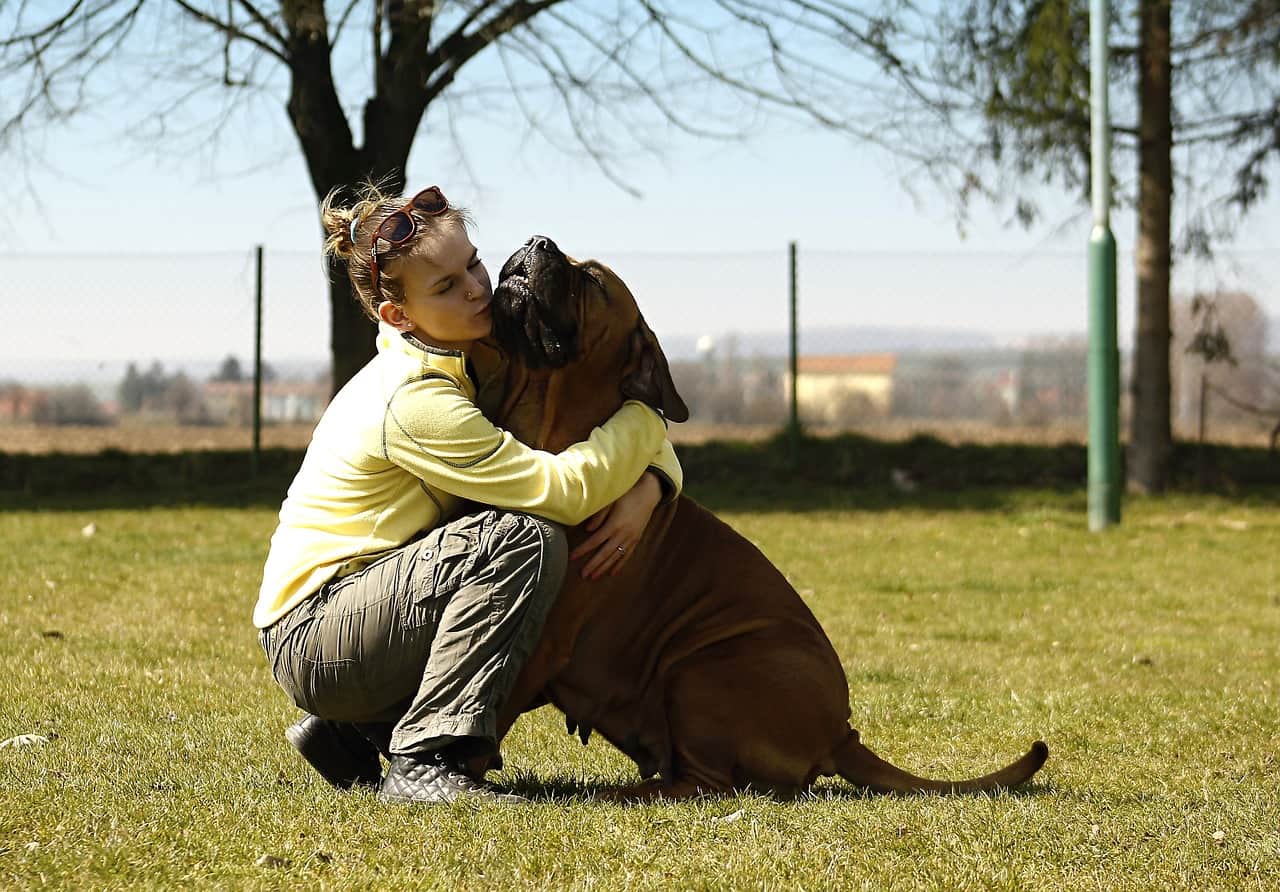 Cistos mamários em cães