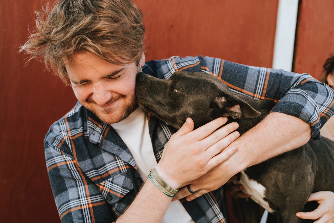 Como os cães escolhem sua pessoa favorita