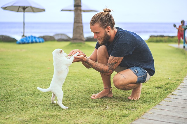 Como posso manter meu cachorro saudável?