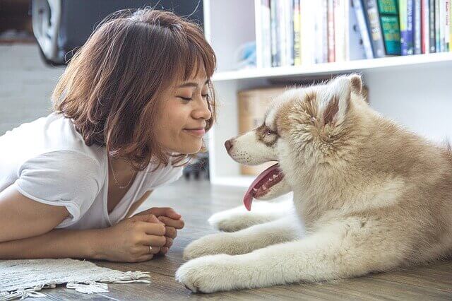 Como tratar o mau hálito do meu Pet?