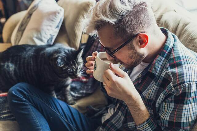 Doença cardíaca e hipertensão em gatos velhos