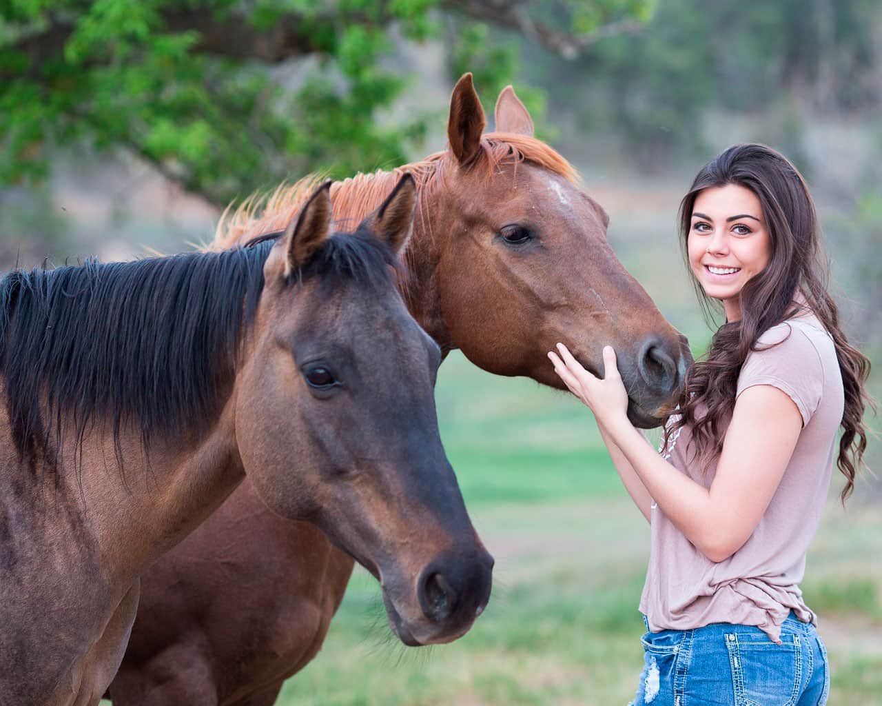 Ensine seu cavalo para dar um beijo 