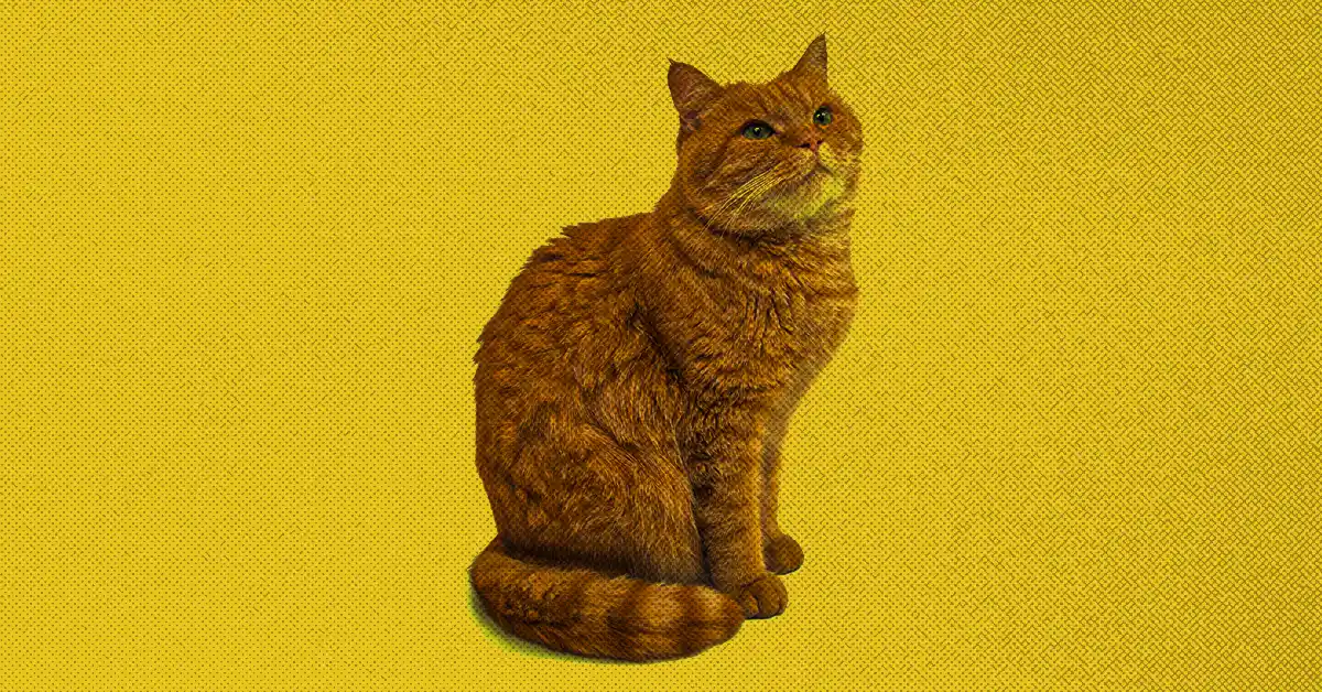 Gato com Vômito Amarelo