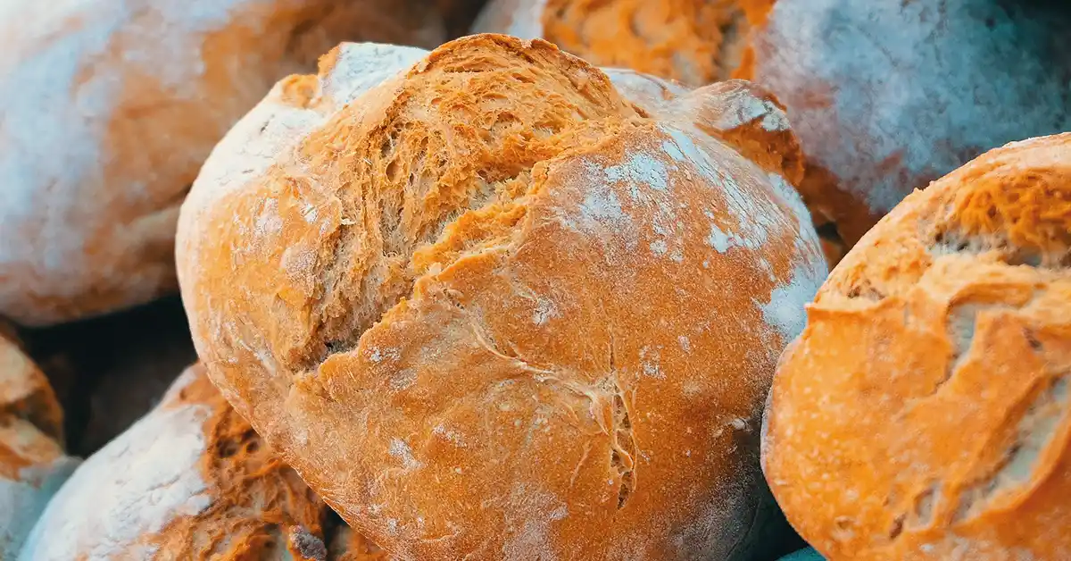 Gato pode comer pão?