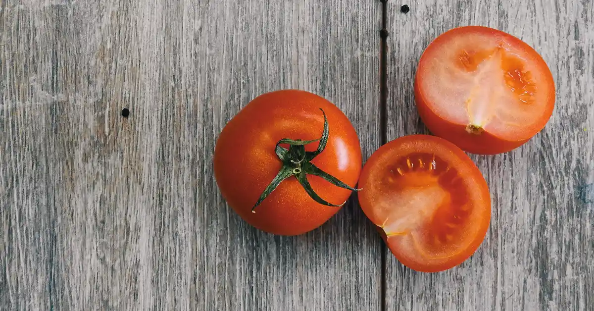 Gato pode comer tomate?