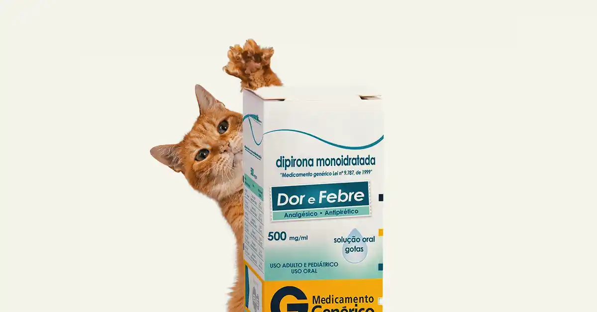 Gato pode tomar Dipirona gotas?