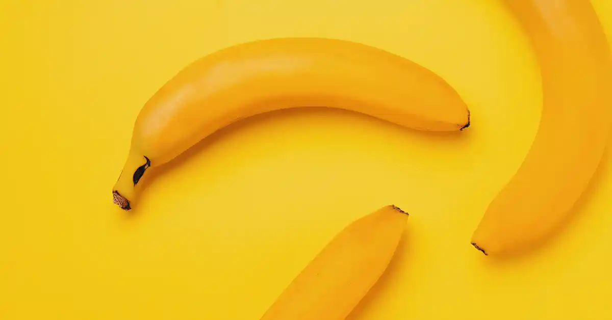 Gato pode tomar Vitamina de Banana?