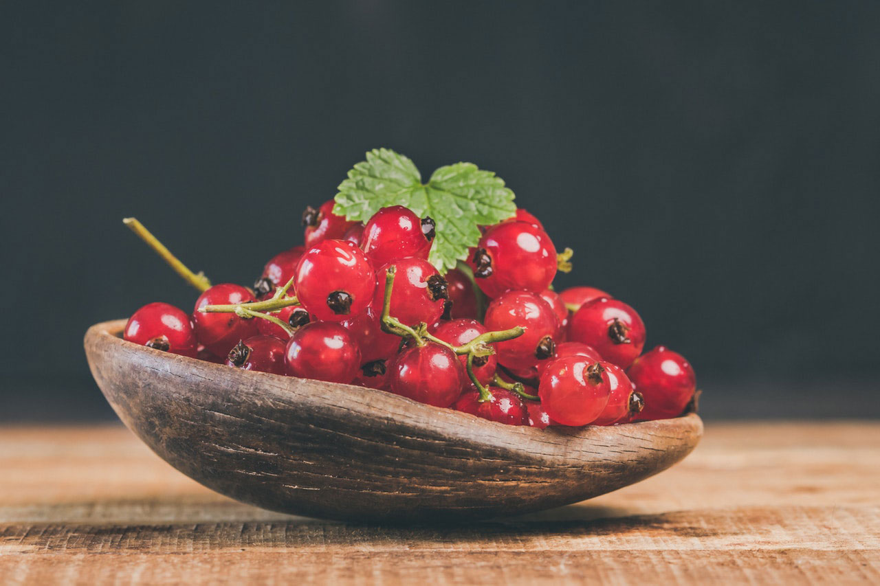 Groselha | Fruta proibida para cão