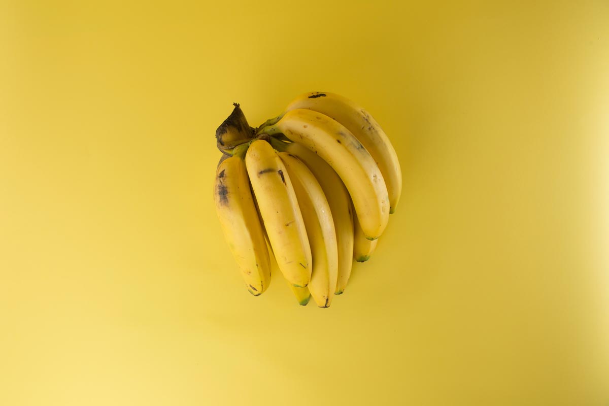 Hamsters podem comer bananas?