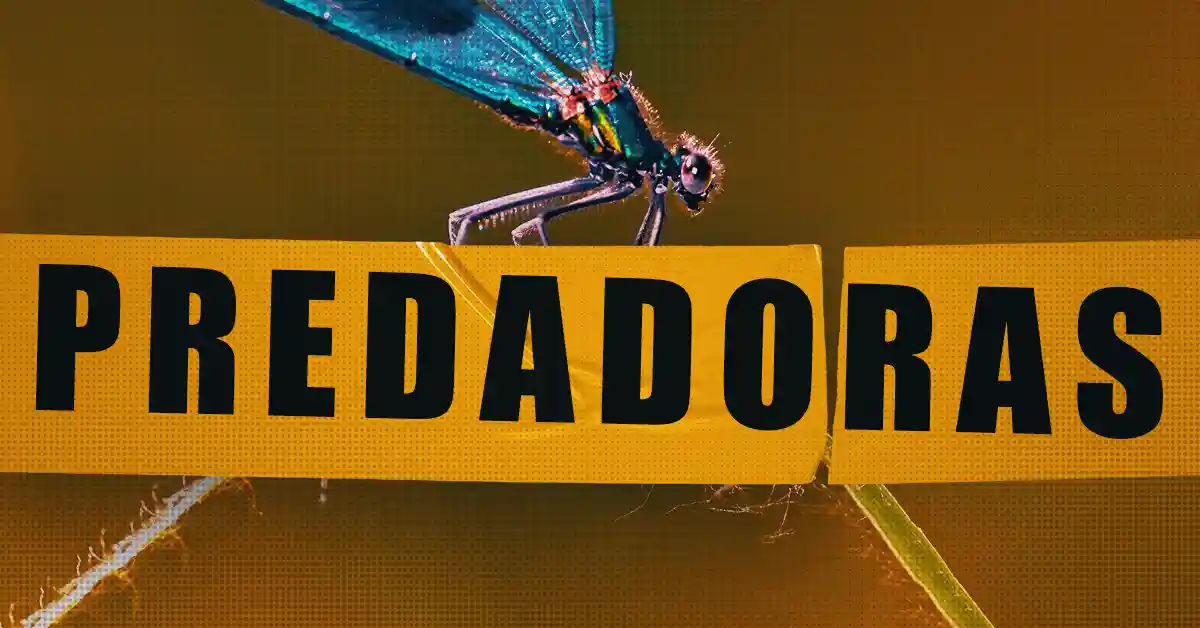 LIBÉLULAS: Predadoras com 95% de Eficiência LIBÉLULAS: Predadoras com 95% de Eficiência