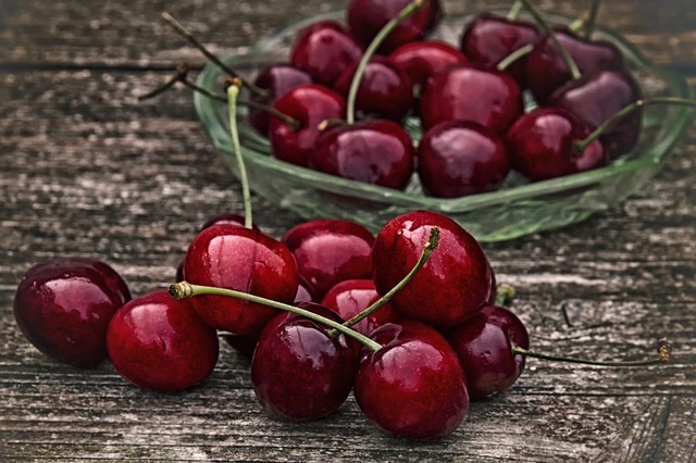 Os cães podem comer cerejas?