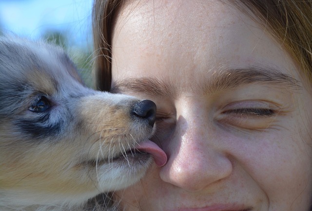 Você beija seu cachorro?